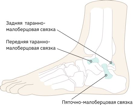 Профилактика растяжения связок на голеностопе