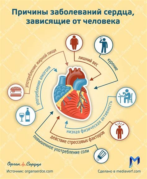 Профилактика сердечно-сосудистых заболеваний с помощью лимонного сока