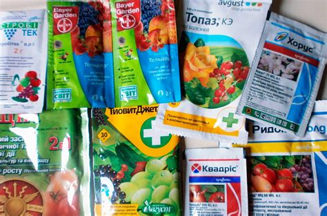 Профилактическое применение