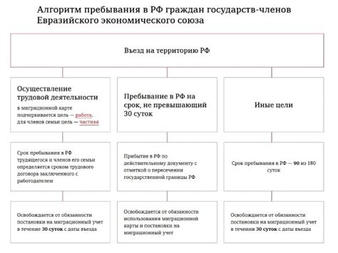 Процедура и сопутствующие документы