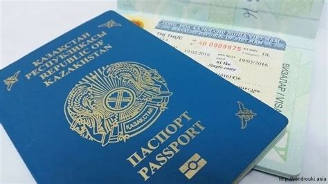 Процедура оформления визы для египтян в Беларуси