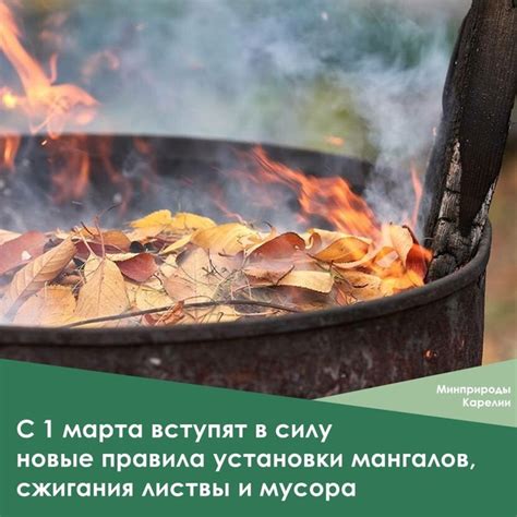 Процедура сжигания листвы