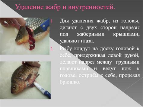 Процедура удаления жабр
