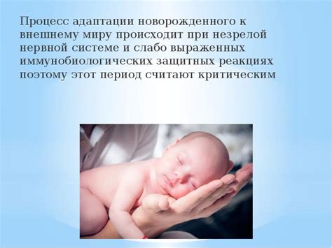 Процесс адаптации новорожденного пингвином в Доме 2