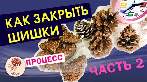 Процесс образования шишки