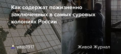 Процесс отпуска пожизненно заключенных в России