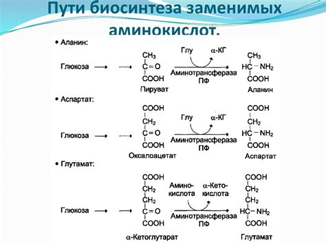 Процесс распада аминокислот