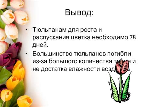 Процесс распускания цветка