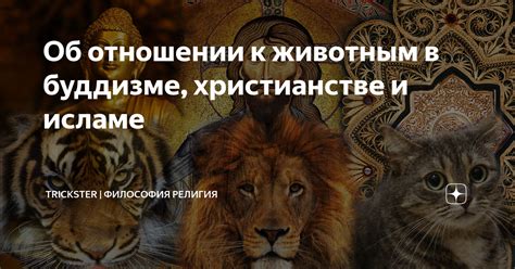Проявление Любви и Заботы к Животным в Исламе
