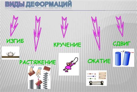 Проявления упругой силы в жизни