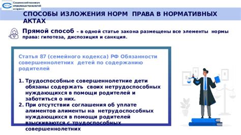 Прямой способ изложения нормы права в отраслевых нормативных актах
