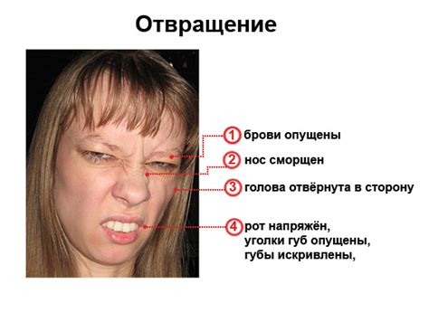 Психологические проявления отвращения
