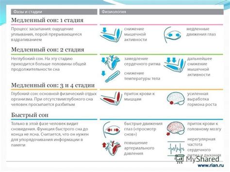 Психологический аспект: как сон связан с процессом горя и заживления