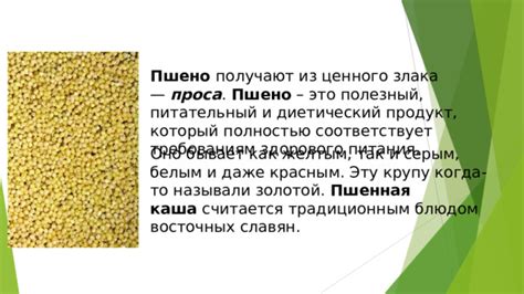 Пшено как полезный продукт при похудении