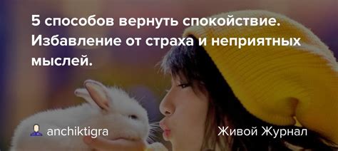 Пять способов вернуть ясность мыслей