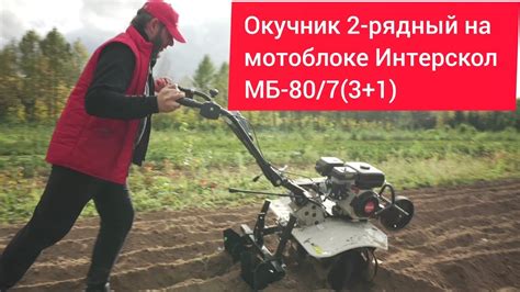 Работа на мотоблоке осенью: применение