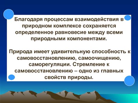 Равновесие взаимодействия