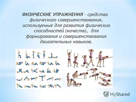 Развитие двигательных навыков
