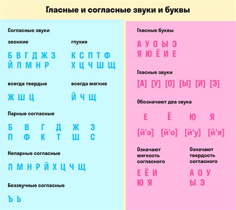Развитие звонких и глухих согласных