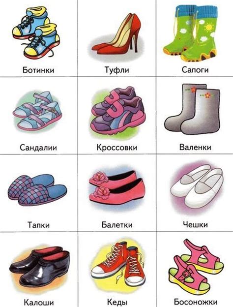 Развитие и появление обуви