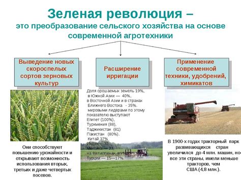 Развитие и распространение совхозного хозяйства