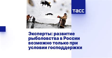Развитие рыболовства в России