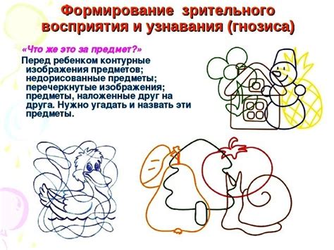 Развитие сознательного восприятия у дошкольников