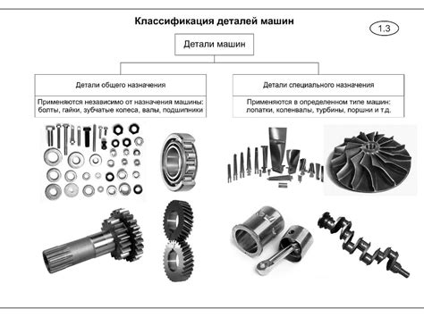 Раздел 1: Важные детали