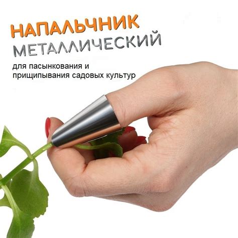 Раздел 2. Инструменты для прищипывания бегонии