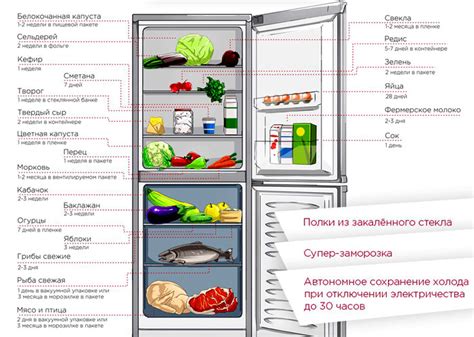 Раздел 3: Влияние хранения холосаса в холодильнике на вкус блюд
