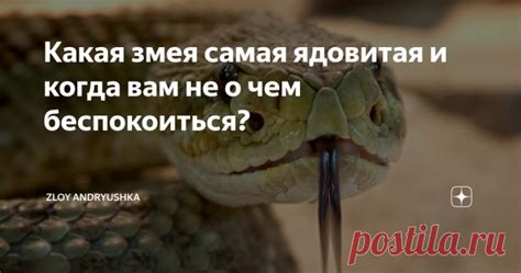 Раздел 3: Смысл сна, когда змея преследует тебя