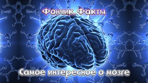 Раздел 8: Интересные факты о мозге