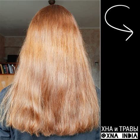 Раздел II: Эффект влажности на результат окрашивания