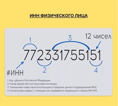 Различия и особенности ИНН физического лица и ИП