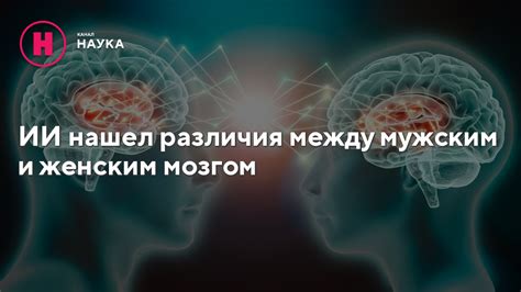 Различия между женским и мужским ритмами