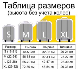 Размеры и вес чемоданов для перевозки в автобусе