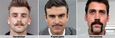 Размер и форма усов