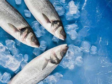 Размораживание и использование замороженной сельдереи