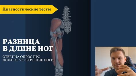 Разница в длине дней