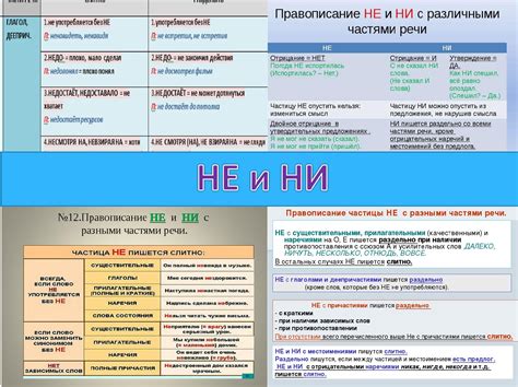 Разница между приставками "ни" и "не"