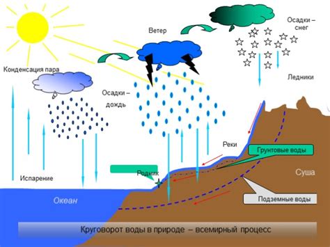 Разнообразие воды в природе
