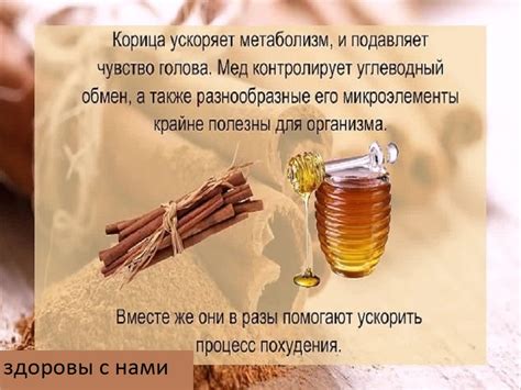 Разнообразные способы использования меда в рационе для похудения