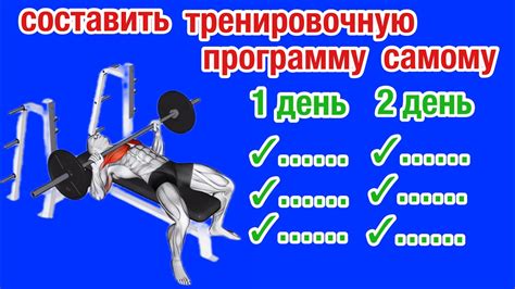 Разработайте тренировочную программу