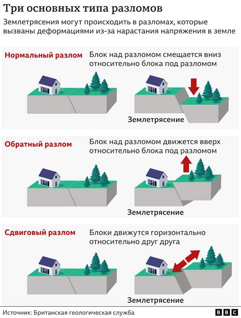 Разрушение комы земли при добывании амариллиса