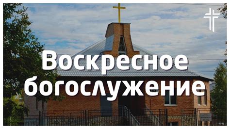 Раннее воскресное пробуждение: откровение утреннего птичьего хора
