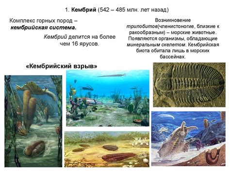 Ранней докембрийский период: первые следы жизни