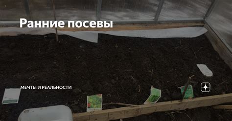 Ранние мечты