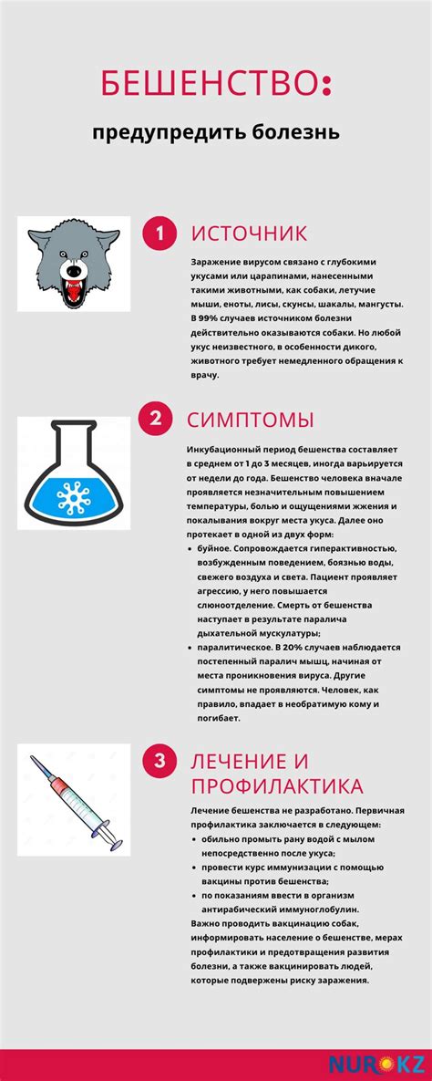 Раскрытие природы и способов передачи вируса бешенства