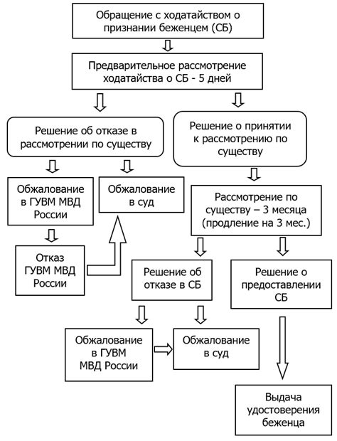 Раскрытие сущности и процедуры направления ходатайства