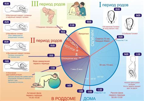 Раскрытие 1-2 пальца: начало и продолжение родов
